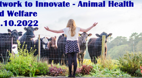 Network to Innovate_Animal(3).png